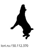 Pit Bull Terrier Dog Silhouette. Smooth Vector Illustration. Стоковая иллюстрация, агентство Ingram Publishing / Фотобанк Лори