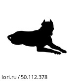 Pit Bull Terrier Dog Silhouette. Smooth Vector Illustration. Стоковая иллюстрация, агентство Ingram Publishing / Фотобанк Лори
