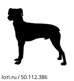 Pinscher Dog Silhouette. Smooth Vector Illustration. Стоковая иллюстрация, агентство Ingram Publishing / Фотобанк Лори