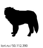 Polish Sheepdog Silhouette. Smooth Vector Illustration. Стоковая иллюстрация, агентство Ingram Publishing / Фотобанк Лори