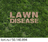 Lawn disease as grub damage as chinch larva damaging grass roots causing a brown patch and drought area in the turf as a composite image. Стоковое фото, агентство Ingram Publishing / Фотобанк Лори