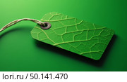 Vibrant green leafshaped tag with rounded corners visible veins and silver grommet for ecofriendly labeling. Стоковое AI-изображение, AI-художник Андрей Бакусов / Фотобанк Лори