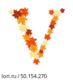 Autumn Maples Leaves Letter. Golden Fall Design. Vector illustration. Стоковая иллюстрация, агентство Ingram Publishing / Фотобанк Лори