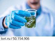Biofuel research process in laboratory, Microalgae Photobioreactor for alternative energy innovation in Renewable Energy Laboratory. Стоковое фото, агентство Ingram Publishing / Фотобанк Лори