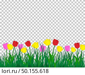 Summer meadow background with tulips. EPS 10 vector illustration with transparency and meshes. Стоковая иллюстрация, агентство Ingram Publishing / Фотобанк Лори