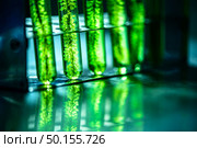 Photobioreactor in lab algae fuel biofuel industry. Algae fuel o. Стоковое фото, агентство Ingram Publishing / Фотобанк Лори