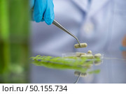 Supplementary capsules from natural extracts. Стоковое фото, агентство Ingram Publishing / Фотобанк Лори