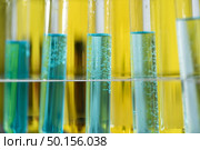 biofuel oil research in laboratory, biofuel energy power concept. Стоковое фото, агентство Ingram Publishing / Фотобанк Лори