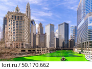 Chicago Skylines building along green dyeing river of Chicago River on St. Patrick day festival in Chicago Downtown IL USA. Стоковое фото, агентство Ingram Publishing / Фотобанк Лори