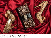 Leopard lacquer bag and leopard shoes on a red. Стоковое фото, фотограф Александр Собко / Фотобанк Лори