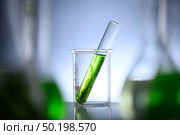 Photobioreactor in Algae fuel biofuel industry, sustainable energy concept. Стоковое фото, агентство Ingram Publishing / Фотобанк Лори