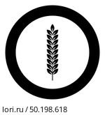 Spikelet of wheat Plant branch icon in circle round black color vector illustration flat style simple image. Spikelet of wheat Plant branch icon in circle round black color vector illustration flat style image. Стоковая иллюстрация, агентство Ingram Publishing / Фотобанк Лори