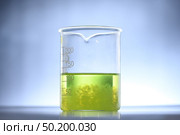 algae research in laboratories, biotechnology science concept. Стоковое фото, агентство Ingram Publishing / Фотобанк Лори