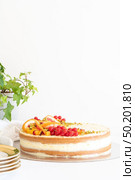 Homemade vanilla birthday cake decorated with orange, peach and gooseberries isolated on table tob. Celebration, party cake. Стоковое фото, агентство Ingram Publishing / Фотобанк Лори