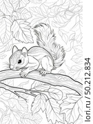 Сoloring page of squirrel perched on a tree branch in a woodland setting. Стоковое AI-изображение, AI-художник Данила Большаков / Фотобанк Лори