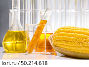 Biofuel from corn, oil and biofuel solution. Стоковое фото, агентство Ingram Publishing / Фотобанк Лори