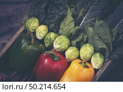 Healthy food clean eating selection in wooden box: fruit, vegetable, seeds, superfood, cereals, leaf vegetable on gray background. Стоковое фото, агентство Ingram Publishing / Фотобанк Лори