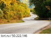 Autumn road asphalt. Nature and trafic composition. Стоковое фото, агентство Ingram Publishing / Фотобанк Лори