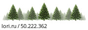 Pine tree horizontal winter border design with a group of green Christmas trees on a white background as a festive evergreen forest element for the holiday season including New Year as a 3D illustration.. Стоковое фото, агентство Ingram Publishing / Фотобанк Лори