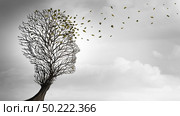 Aging or Ageing and growing older concept as a tree shaped as a human head losingleaves as a health symbol for senior care or longevity idea in a 3D illustration style. Стоковое фото, агентство Ingram Publishing / Фотобанк Лори