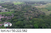 Aerial View of Tropical Dry Forest in Valle del Cauca, Colombia, Drone Footage Over Dry Tropical Woodland in Valle del Cauca, Colombian Dry Forest Landscape, Valle del Cauca Aerial. Стоковое видео, видеограф ALEJANDRO PEREZ ALVARES / Фотобанк Лори