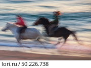 Horse moving on the sea. Speed motion scene. Стоковое фото, агентство Ingram Publishing / Фотобанк Лори