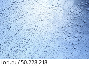 Water drops texture. Element of design. Стоковое фото, агентство Ingram Publishing / Фотобанк Лори