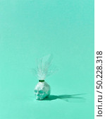 Human skull in a plaster wrap on a light turquoise background with hard shadows and place for text. Halloween simbol of holiday party.. Skull in the plaster wrap with shadows. Стоковое фото, агентство Ingram Publishing / Фотобанк Лори