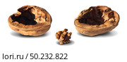 Atrophy concept as a small nut inside a big walnut shell as a brain shrinkage and dementia medical symbol or metaphor for disappointment and disapointed undeveloped result or as a business failure symbol. Стоковое фото, агентство Ingram Publishing / Фотобанк Лори