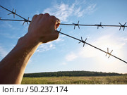 Hand of prison and sky nature background. Conceptual scene. Стоковое фото, агентство Ingram Publishing / Фотобанк Лори