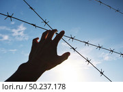 Hand of prison and sky background. Conceptual scene. Стоковое фото, агентство Ingram Publishing / Фотобанк Лори