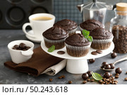 Coffee chocolate muffins for breakfast. Стоковое фото, агентство Ingram Publishing / Фотобанк Лори