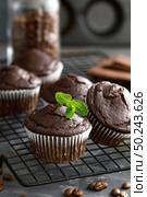 Coffee chocolate muffins for breakfast. Стоковое фото, агентство Ingram Publishing / Фотобанк Лори
