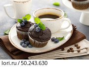 Chocolate muffins with fresh blueberry and cofee cup for breakfast. Стоковое фото, агентство Ingram Publishing / Фотобанк Лори
