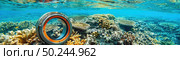 A view of a vibrant coral reef underwater with a circular object in the foreground, showcasing the marine ecosystems diversity. Стоковое AI-изображение, AI-художник Данила Большаков / Фотобанк Лори