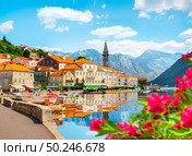 Historic city of Perast at Bay of Kotor in summer, Montenegro. Стоковое фото, агентство Ingram Publishing / Фотобанк Лори