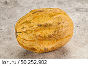 Decorative yelow pampkin seasonal vegetables. Стоковое фото, фотограф Андрей Старостин / Фотобанк Лори