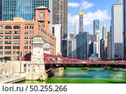 Chicago Skylines building along green dyeing river of Chicago River on St. Patrick day festival in Chicago Downtown IL USA. Стоковое фото, агентство Ingram Publishing / Фотобанк Лори