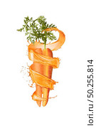 Organic natural fresh cut vertically carrot root with green leaf with juicy splashes on a white background, copy space. Vegetarian concept.. Cut natural organic carrot with splashes. Стоковое фото, агентство Ingram Publishing / Фотобанк Лори