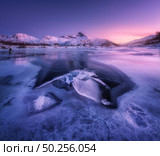 Snowy mountains, blue sea with frosty coast, reflection in water and purple sky at colorful sunset in Lofoten islands, Norway. Winter landscape with snow covered rocks, fjord with ice at night. Nature. Стоковое фото, агентство Ingram Publishing / Фотобанк Лори