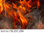 Open fire burning wood background with copy space. Macro view. Can be used for your creativity.. Open fireplace, macro burning wood background. Стоковое фото, агентство Ingram Publishing / Фотобанк Лори