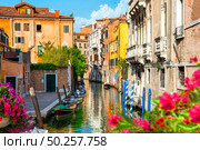 Flowers on a canal in Venice, Italy. Flowers on a canal. Стоковое фото, агентство Ingram Publishing / Фотобанк Лори