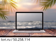Notebook monitor with blurred seascape sunrise picture on a wooden table against the same background with green palm leaves frame, copy space. Working at sea, outside office concept.. Laptop screen with blurred sea background. Стоковое фото, агентство Ingram Publishing / Фотобанк Лори