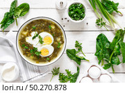 Green sorrel and spinach soup with boiled egg and sour cream on white wooden rustic table, top view. Стоковое фото, агентство Ingram Publishing / Фотобанк Лори