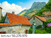 Old buildings with red-orange roofs in Kotor in Montenegro. Roofs in Kotor. Стоковое фото, агентство Ingram Publishing / Фотобанк Лори