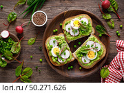 Sandwiches with wholemeal bread, hummus or puree of fresh green peas, radish, cucumber, boiled egg, green onion and chard. Стоковое фото, агентство Ingram Publishing / Фотобанк Лори