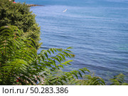 Beach on the Black Sea in the ancient city of Nessebar, Bulgaria. Стоковое фото, фотограф Марина Демидюк / Фотобанк Лори