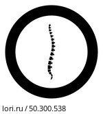 Spine human Spinal Lateral view Vertebras Dorsal vertebrae icon in circle round black color vector illustration flat style simple image. Spine human Spinal Lateral view Vertebras Dorsal vertebrae icon in circle round black color vector illustration flat style image. Стоковая иллюстрация, агентство Ingram Publishing / Фотобанк Лори