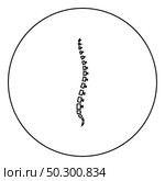 Spine human Spinal Lateral view Vertebras Dorsal vertebrae icon in circle round outline black color vector illustration flat style simple image. Spine human Spinal Lateral view Vertebras Dorsal vertebrae icon in circle round outline black color vector illustration flat style image. Стоковая иллюстрация, агентство Ingram Publishing / Фотобанк Лори