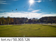 Wonderful landscape before Schonbrunn Palace in Vienna, Austria with wide green field and flying birds above in a blue sky.. Beautiful landscape before Schonbrunn Palace in Vienna. Стоковое фото, агентство Ingram Publishing / Фотобанк Лори